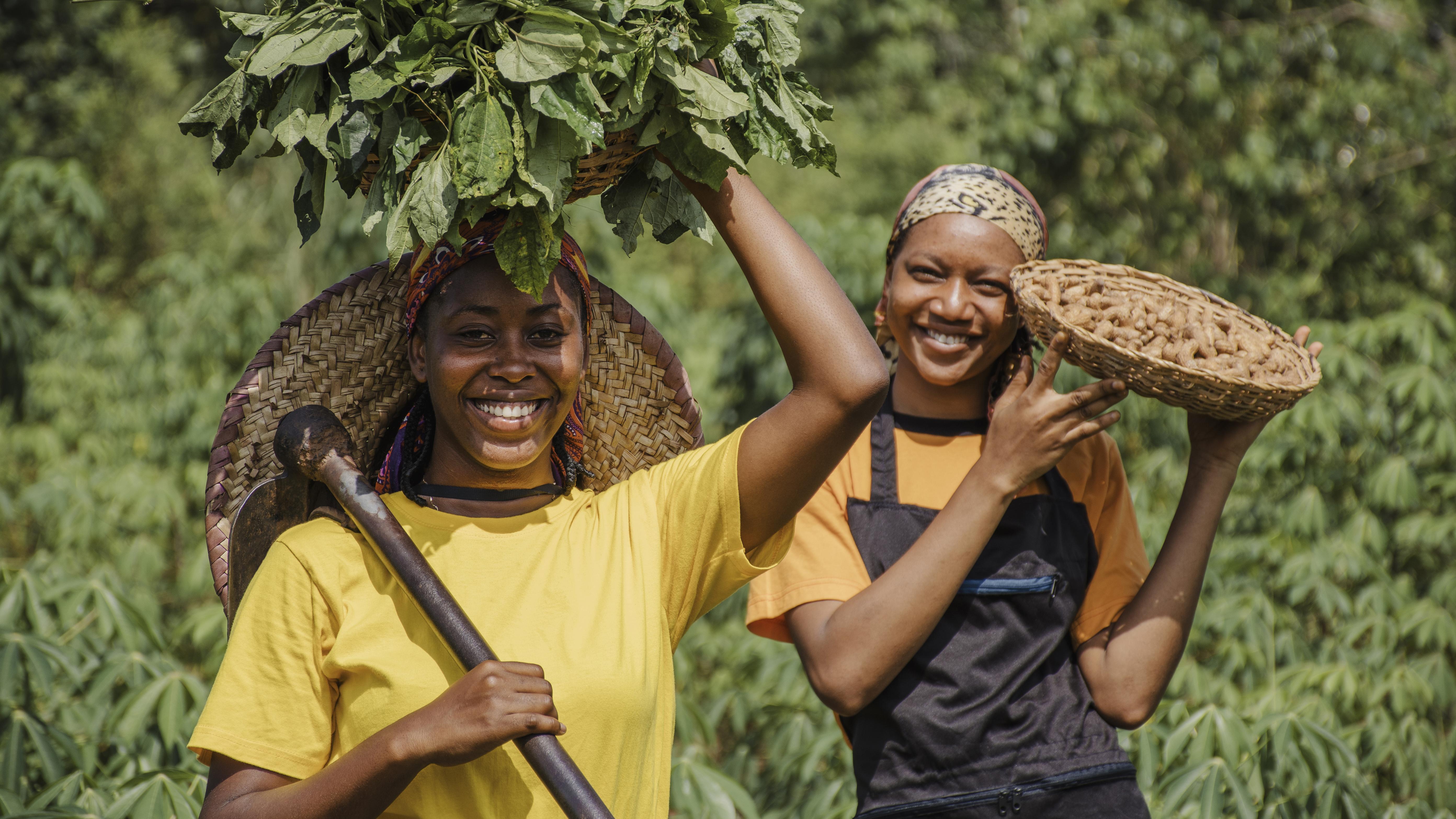 Jeunes au travail dans un atelier de menuiserie, arrière-pays gabonais